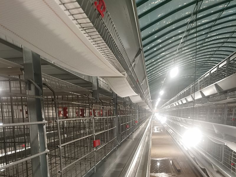 照明系統